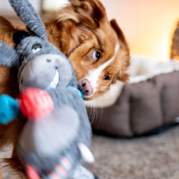 Nobby Plüschtier ESEL für Hunde